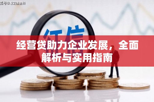 埔心经营贷助力企业发展，全面解析与实用指南