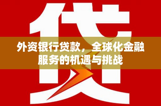 埔心外资银行贷款，全球化金融服务的机遇与挑战