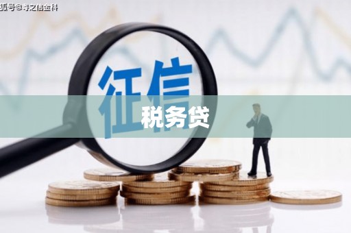 埔心税务贷