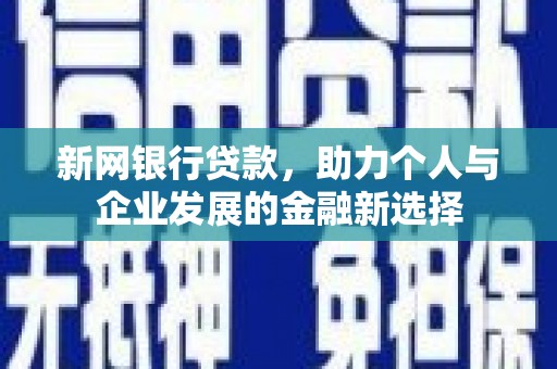 埔心新网银行贷款，助力个人与企业发展的金融新选择