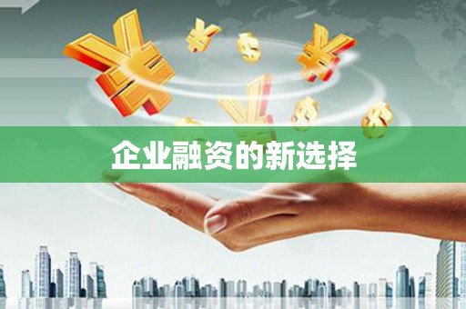 埔心企业融资的新选择