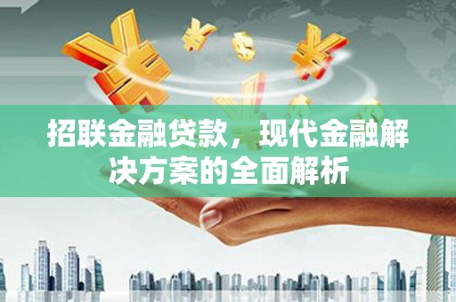 埔心招联金融贷款，现代金融解决方案的全面解析