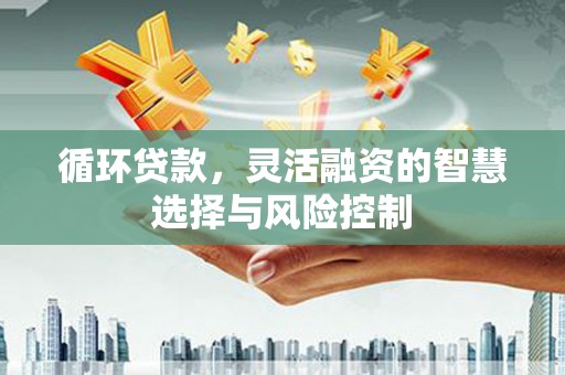 埔心循环贷款，灵活融资的智慧选择与风险控制