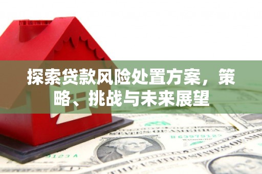 埔心探索贷款风险处置方案，策略、挑战与未来展望