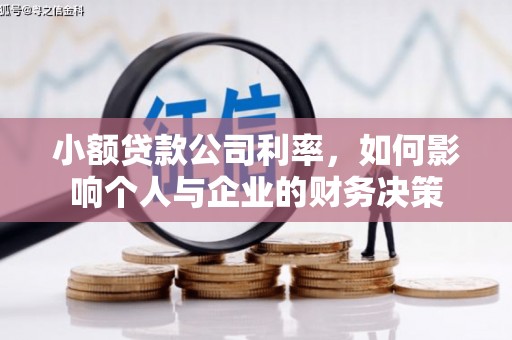 埔心小额贷款公司利率，如何影响个人与企业的财务决策
