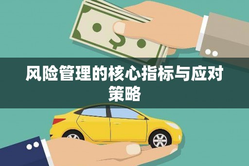 埔心风险管理的核心指标与应对策略