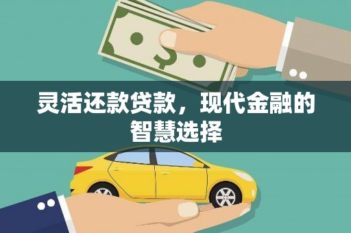 埔心灵活还款贷款，现代金融的智慧选择