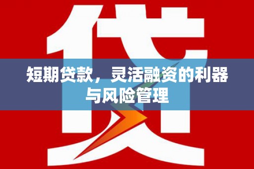 埔心短期贷款，灵活融资的利器与风险管理