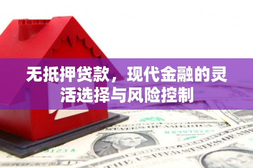埔心无抵押贷款，现代金融的灵活选择与风险控制