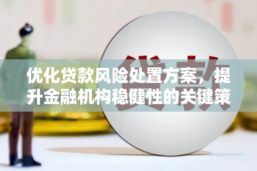 埔心优化贷款风险处置方案，提升金融机构稳健性的关键策略