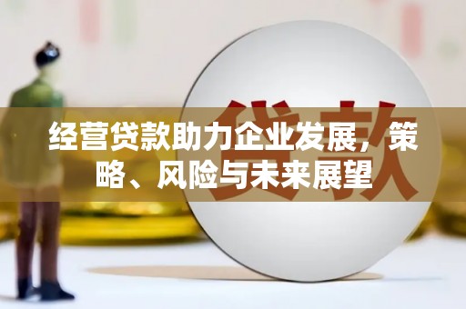 埔心经营贷款助力企业发展，策略、风险与未来展望