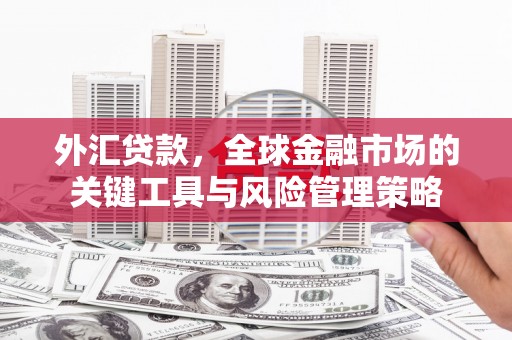 埔心外汇贷款，全球金融市场的关键工具与风险管理策略