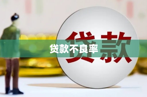 埔心贷款不良率