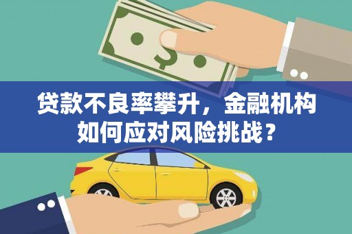 埔心贷款不良率攀升，金融机构如何应对风险挑战？