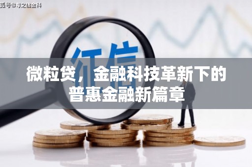 埔心微粒贷，金融科技革新下的普惠金融新篇章