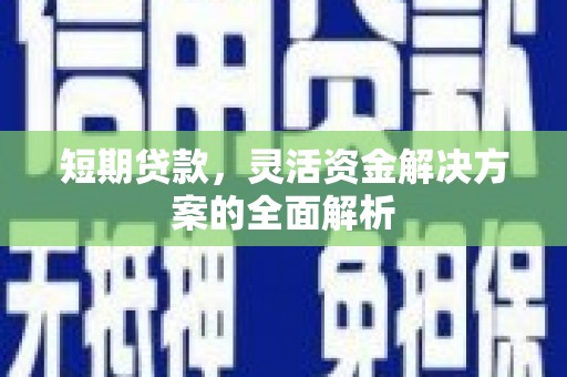 埔心短期贷款，灵活资金解决方案的全面解析