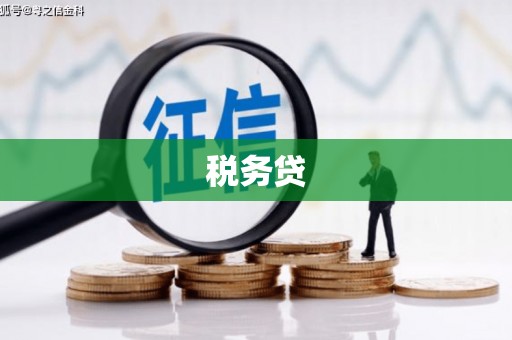 埔心税务贷