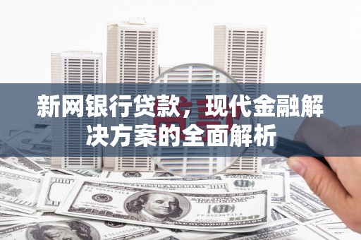 埔心新网银行贷款，现代金融解决方案的全面解析