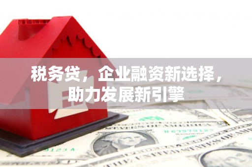 埔心税务贷，企业融资新选择，助力发展新引擎