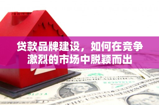 埔心贷款品牌建设，如何在竞争激烈的市场中脱颖而出