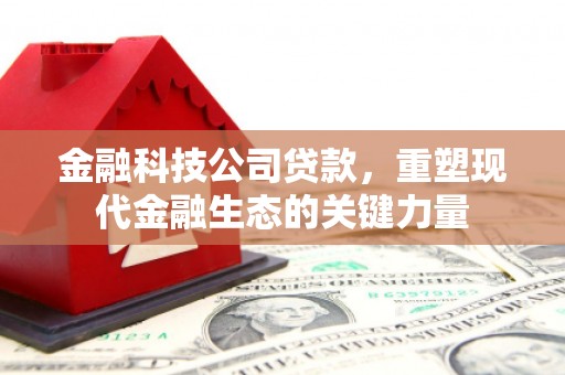 埔心金融科技公司贷款，重塑现代金融生态的关键力量