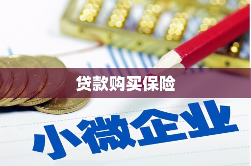 埔心贷款购买保险