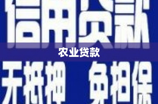 埔心农业贷款