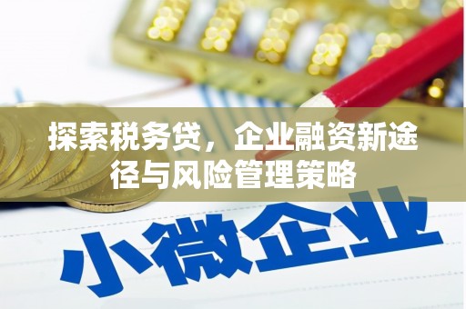埔心探索税务贷，企业融资新途径与风险管理策略