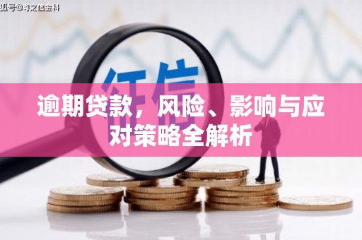 埔心逾期贷款，风险、影响与应对策略全解析