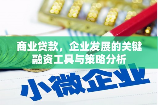 埔心商业贷款，企业发展的关键融资工具与策略分析