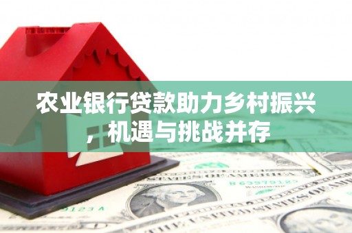 埔心农业银行贷款助力乡村振兴，机遇与挑战并存