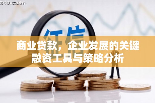 埔心商业贷款，企业发展的关键融资工具与策略分析