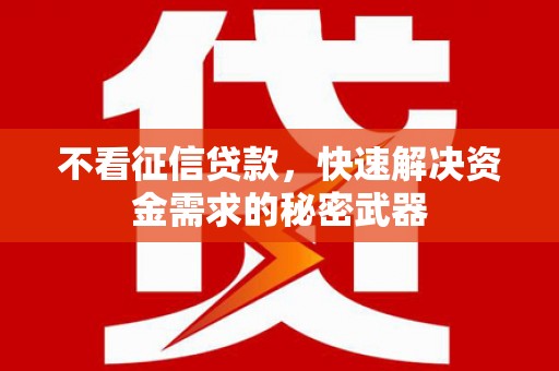 埔心不看征信贷款，快速解决资金需求的秘密武器