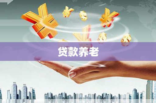 埔心贷款养老