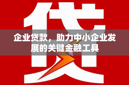 埔心企业贷款，助力中小企业发展的关键金融工具
