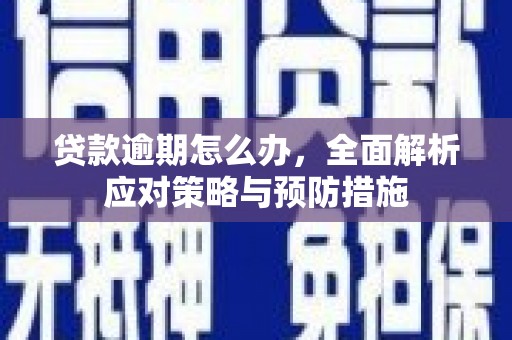 埔心贷款逾期怎么办，全面解析应对策略与预防措施