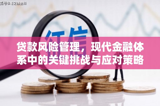 埔心贷款风险管理，现代金融体系中的关键挑战与应对策略