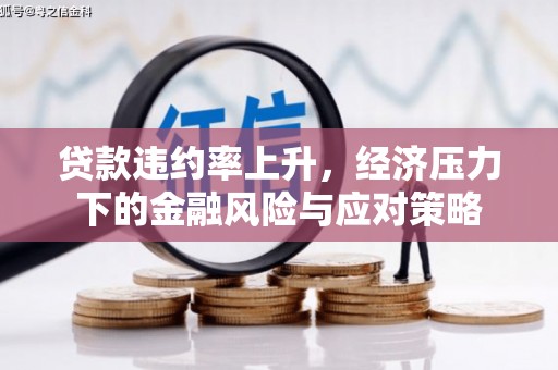 埔心贷款违约率上升，经济压力下的金融风险与应对策略