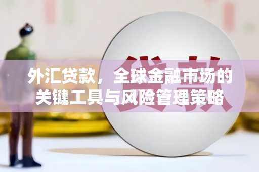 埔心外汇贷款，全球金融市场的关键工具与风险管理策略