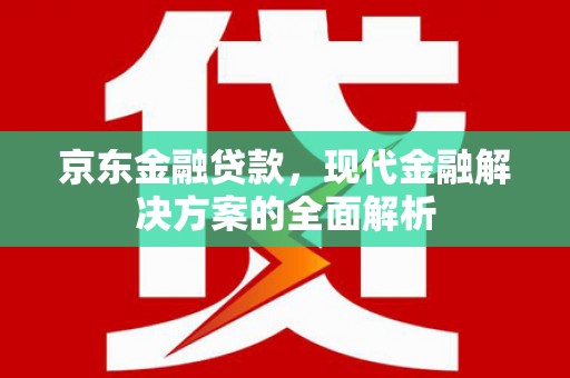埔心京东金融贷款，现代金融解决方案的全面解析