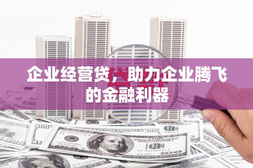 埔心企业经营贷，助力企业腾飞的金融利器