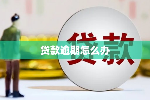 埔心贷款逾期怎么办