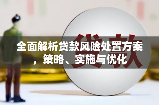 埔心全面解析贷款风险处置方案，策略、实施与优化