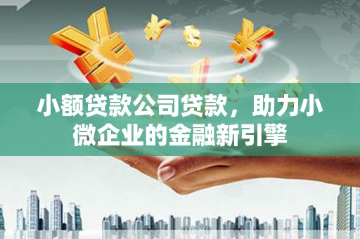 埔心小额贷款公司贷款，助力小微企业的金融新引擎