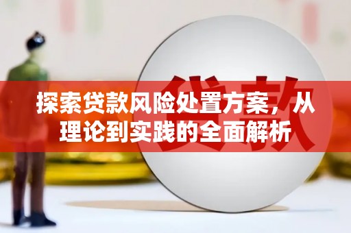 埔心探索贷款风险处置方案，从理论到实践的全面解析