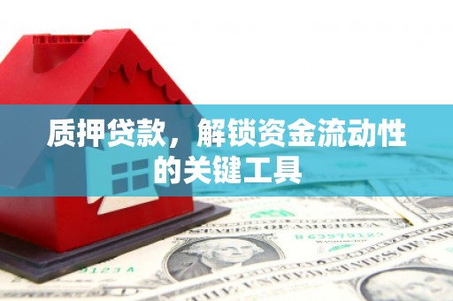 埔心质押贷款，解锁资金流动性的关键工具