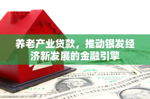 埔心养老产业贷款，推动银发经济新发展的金融引擎