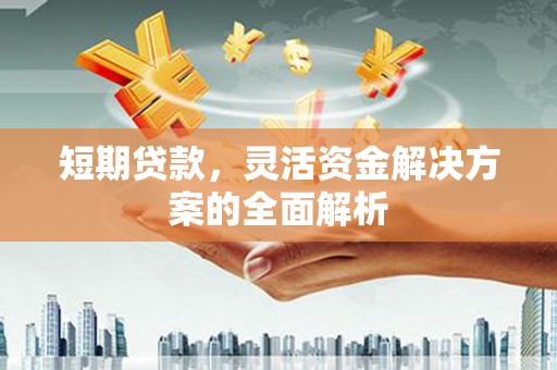 埔心短期贷款，灵活资金解决方案的全面解析