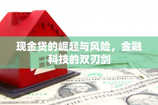 埔心现金贷的崛起与风险，金融科技的双刃剑
