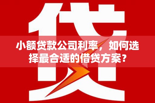 埔心小额贷款公司利率，如何选择最合适的借贷方案？